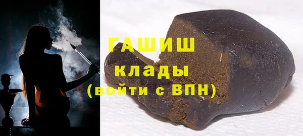индика Костерёво