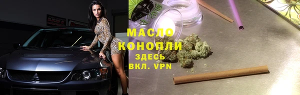 индика Костерёво