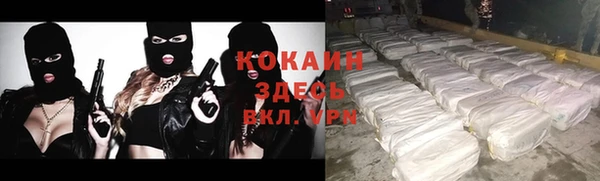 индика Костерёво