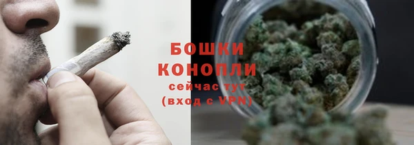 индика Костерёво