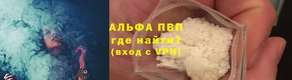 индика Костерёво