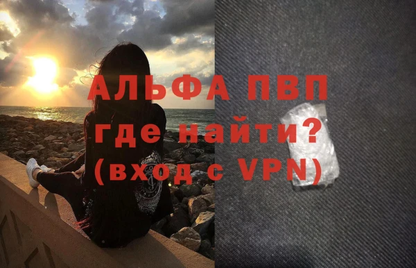 индика Костерёво