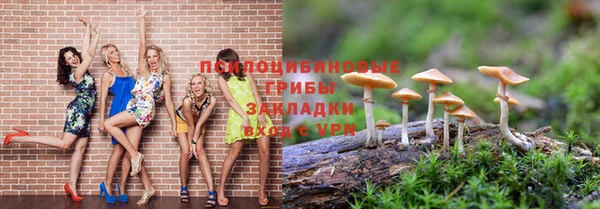 индика Костерёво