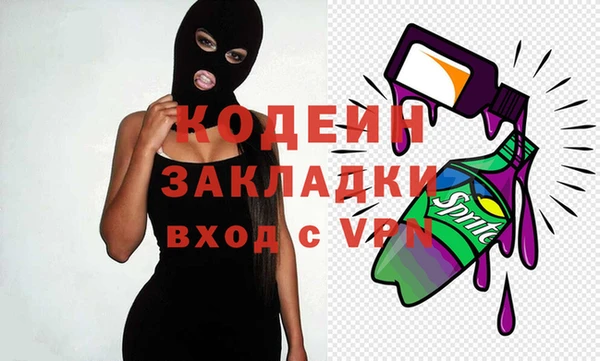 индика Костерёво