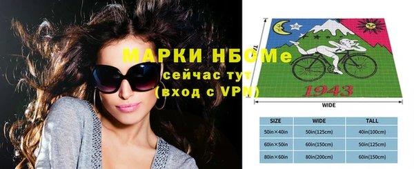 индика Костерёво