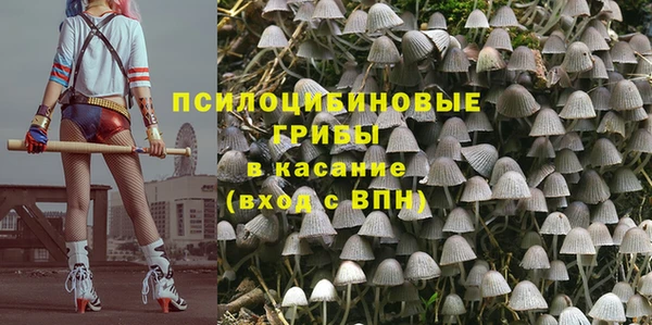 соль ск Коряжма