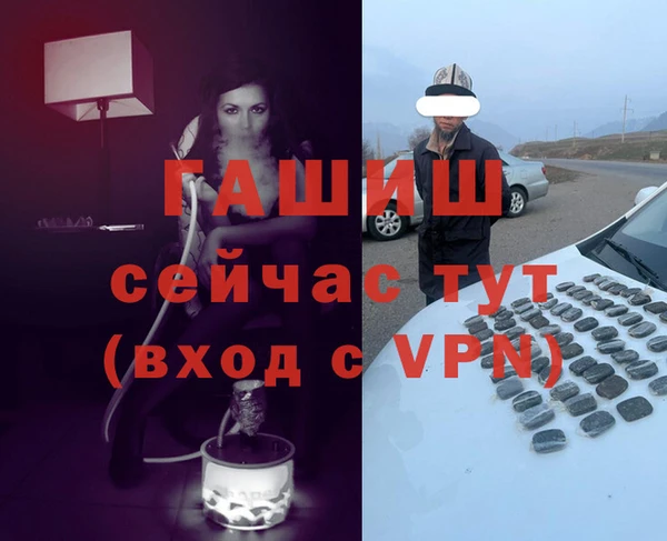 индика Костерёво