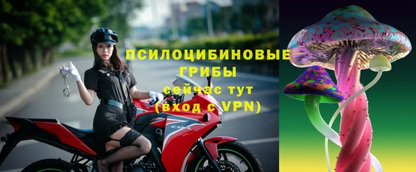 индика Костерёво