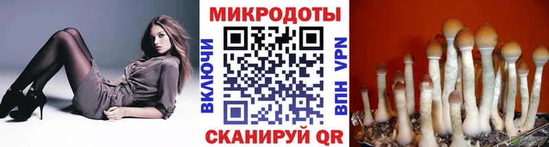 Галлюциногенные грибы Psilocybine cubensis  Купить закладки  Мурино 